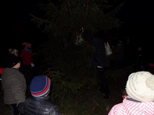 Rozsvěcení vánočního stromečku ve Vésce 2015 